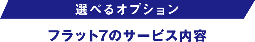 選べるオプション フラット7のサービス内容
