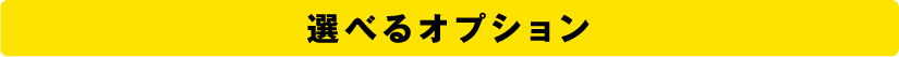 選べるオプション