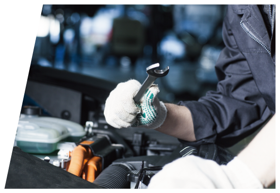 アフターケアの様子